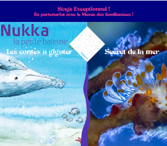 Ateliers avec le Musée des Confluences